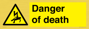 Danger of death